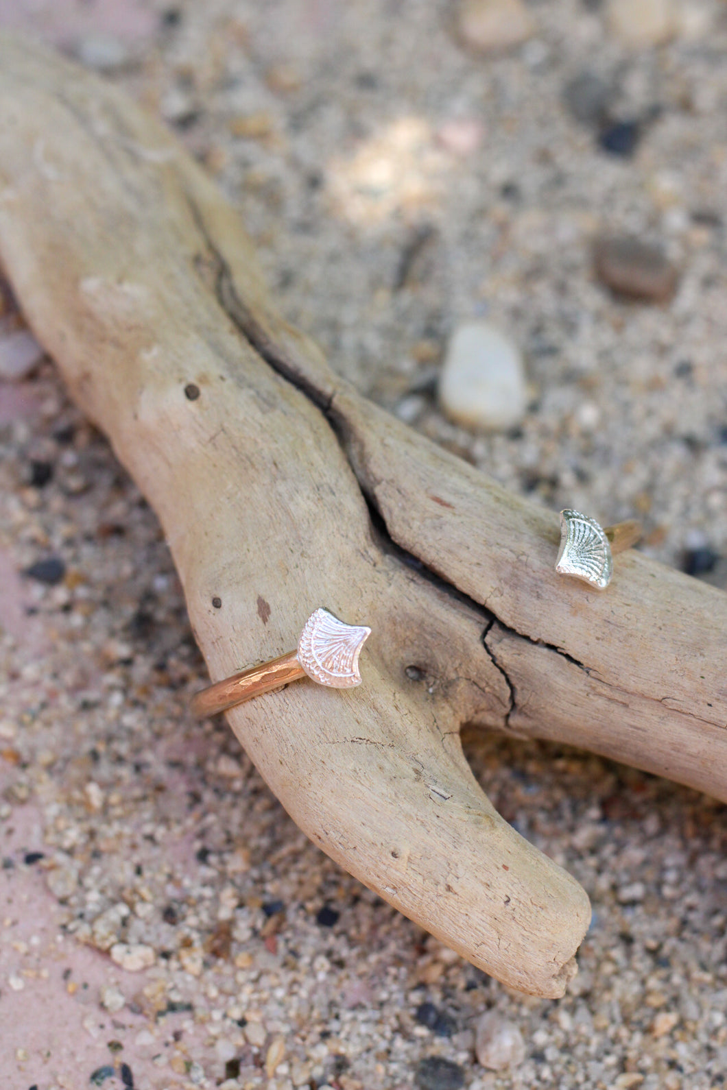 Shell Cuff