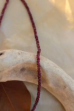 Load image into Gallery viewer, ASTRA - Sequin Set
