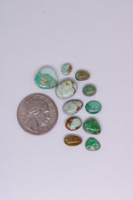 Load image into Gallery viewer, Collection of green and brown stones with a quarter for scale on a white background
