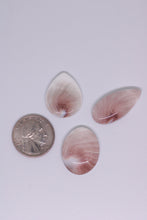 Load image into Gallery viewer, Three pink and white shiva shell stones on a white background with a quarter for scale.
