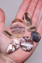 Load image into Gallery viewer, Hand holding a collection of agate stones with various patterns and colors.
